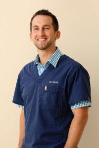 dr scott preston dentist sunshine coast