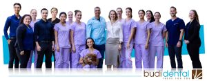 budi dental team sunshine coast dentists